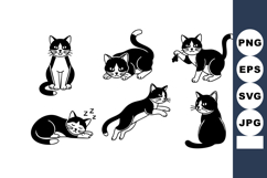Black and white cats in various playful and resting poses ve Product Image 1