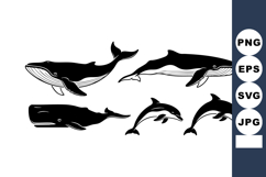 Whale and dolphin silhouettes black and white vector sea ani Product Image 1
