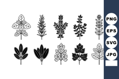 Set of decorative black and white nature leaves vector icons Product Image 1
