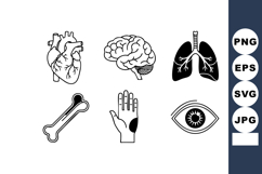 Human organs heart brain lungs bone hand eye vector set for Product Image 1