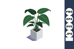 Green houseplant with large leaves in white square pot vecto Product Image 1