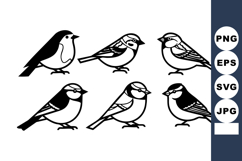 Small birds vector set with black and white silhouette and o Product Image 1