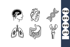 Human anatomy icons showing brain heart dna lungs digestive Product Image 1