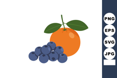 Orange fruit with green leaves and fresh blueberries vector Product Image 1