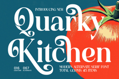 Quarky Kitchen - Modern Alternate Serif Font Product Image 1