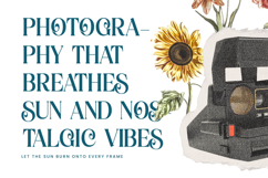 Quarky Kitchen - Modern Alternate Serif Font Product Image 2