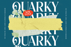 Quarky Kitchen - Modern Alternate Serif Font Product Image 4