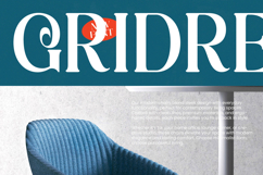 Quarky Kitchen - Modern Alternate Serif Font Product Image 7