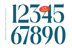 Quarky Kitchen - Modern Alternate Serif Font Product Image 9