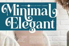 Quarky Kitchen - Modern Alternate Serif Font Product Image 12