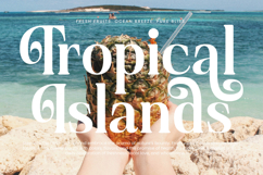 Quarky Kitchen - Modern Alternate Serif Font Product Image 14