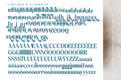 Quarky Kitchen - Modern Alternate Serif Font Product Image 18