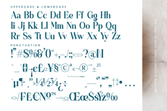 Quarky Kitchen - Modern Alternate Serif Font Product Image 19