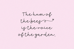 Queen Bee Script Product Image 4