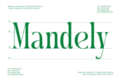 Questing Silver - Modern Serif Font Product Image 4