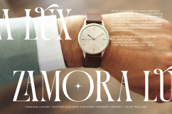Questing Silver - Modern Serif Font Product Image 9