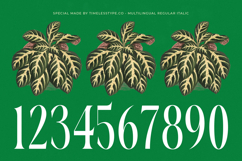 Questing Silver - Modern Serif Font Product Image 17