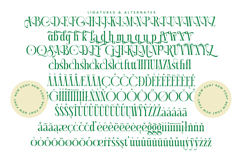 Questing Silver - Modern Serif Font Product Image 19