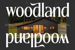 Qugotic - Modern Alternate Serif Product Image 7