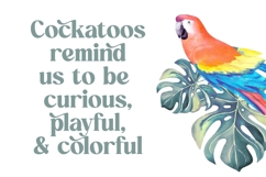 Quick Beach - Modern Retro Serif Font Product Image 12