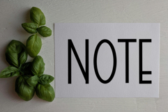 Quicksand Product Image 4