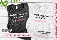 Spanish Entrepreneur SVG Bundle |Quotes Volume One | Product Image 4