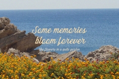 Quiet Garden Retro Whimsy Font Product Image 6
