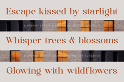 Quika Calletto - Modern Serif Font Product Image 4