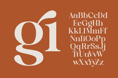 Quika Calletto - Modern Serif Font Product Image 15