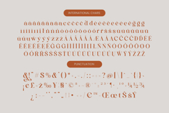 Quika Calletto - Modern Serif Font Product Image 19