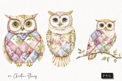 Quilted Owls Clipart | Cottagecore PNG Product Image 1