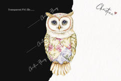 Quilted Owls Clipart | Cottagecore PNG Product Image 2