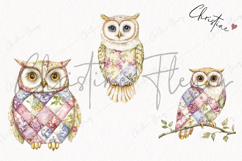 Quilted Owls Clipart | Cottagecore PNG Product Image 3