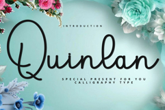 Quinlan Product Image 1