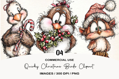 Quirky Christmas Birds Clipart Product Image 1