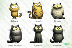 Quirky Funny Cats Sublimation Clipart Bundle Product Image 4