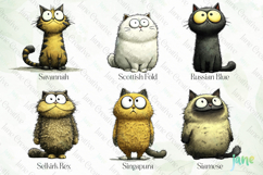 Quirky Funny Cats Sublimation Clipart Bundle Product Image 8