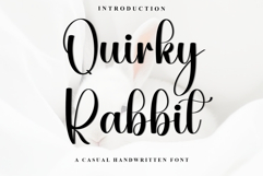 Quirky Rabbit Product Image 1