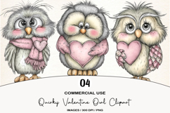 Quirky Valentine Owl Clipart Product Image 1