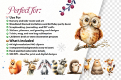 Quirky Watercolor Woodland Clipart Funny Forest Animals Product Image 2