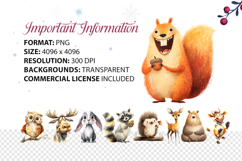 Quirky Watercolor Woodland Clipart Funny Forest Animals Product Image 5