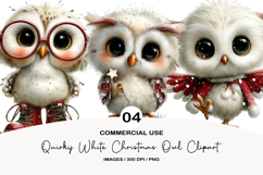 Quirky White Christmas Owl Clipart Product Image 1