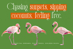 Quiselle - Modern Serif Font Product Image 2