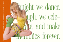 Quiselle - Modern Serif Font Product Image 7