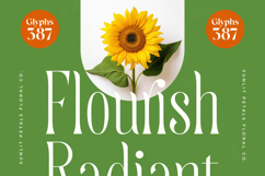 Quiselle - Modern Serif Font Product Image 8