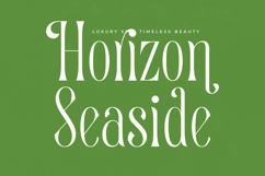 Quiselle - Modern Serif Font Product Image 10