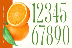 Quiselle - Modern Serif Font Product Image 15