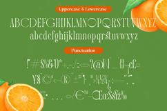 Quiselle - Modern Serif Font Product Image 18