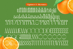 Quiselle - Modern Serif Font Product Image 19