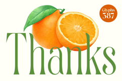 Quiselle - Modern Serif Font Product Image 20